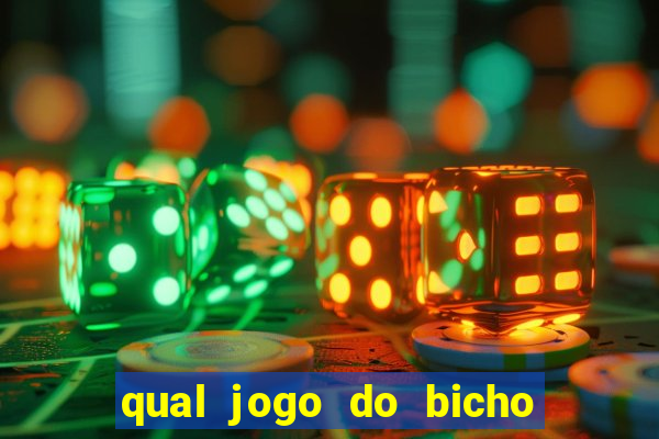 qual jogo do bicho paga mais