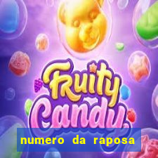 numero da raposa jogo do bicho