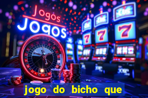 jogo do bicho que paga no pix