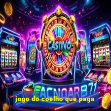 jogo do coelho que paga