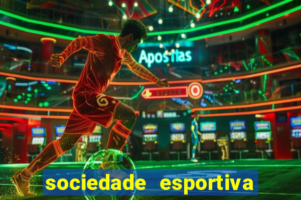 sociedade esportiva palmeiras x botafogo futemax