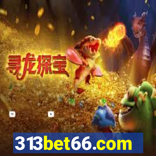 313bet66.com