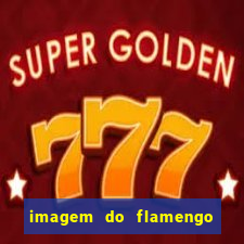 imagem do flamengo para perfil