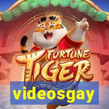 videosgay